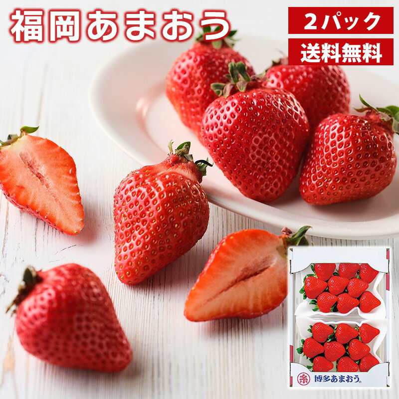 福岡あまおう 送料無料 270g×2パック いちごギフト 福岡名産 ブランド苺 いちご イチゴ お歳暮 御歳暮 ..