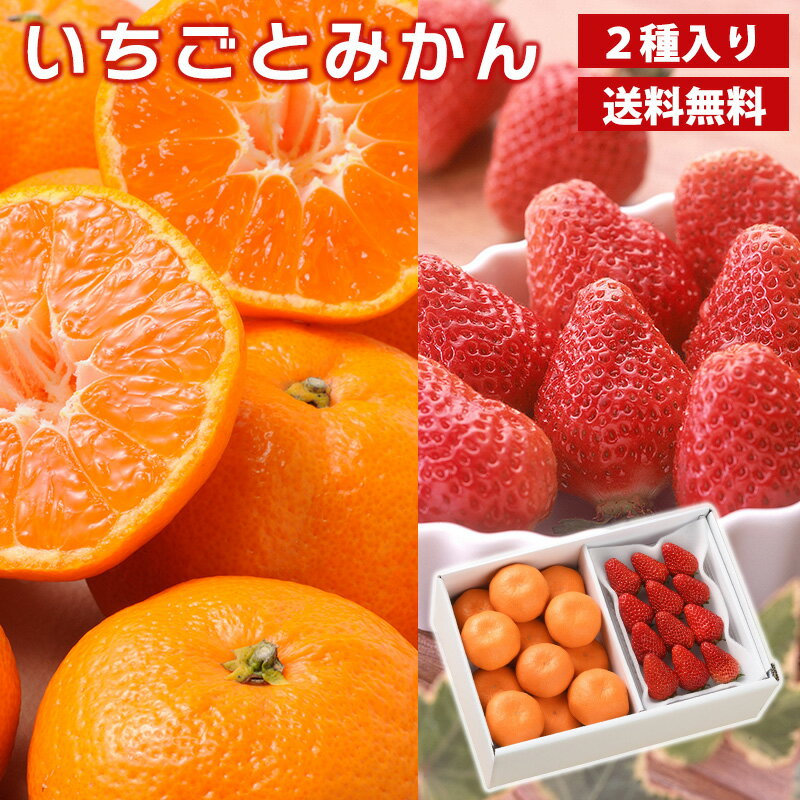 いちごとみかん 送料無料 いちご250g みかん1.2kg フルーツセット お歳暮 御歳暮 冬ギフト（お届け期間：11月下旬〜12月中旬）