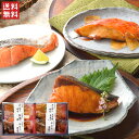 氷温熟成　煮魚・焼き魚ギフトセット（彩-irodori-）N