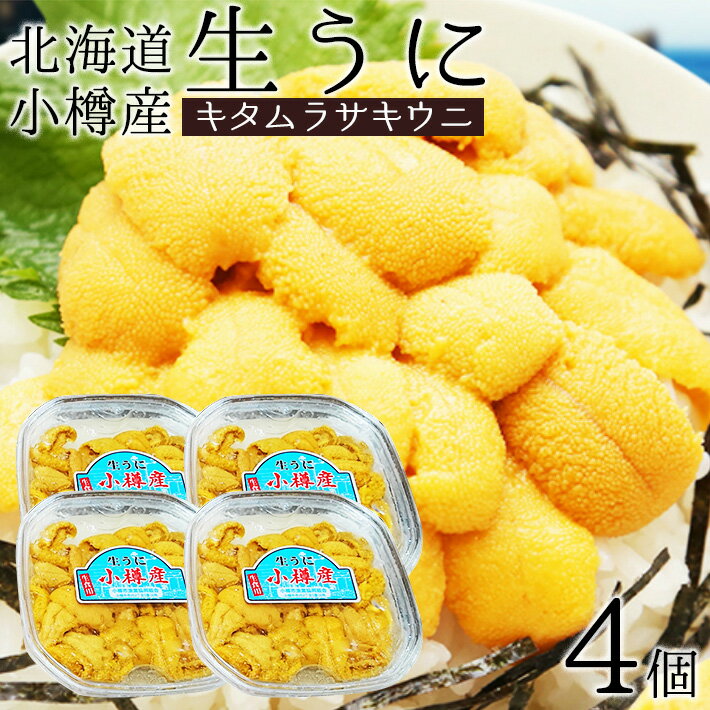 北海道小樽産生うに　キタムラサキウニ100g×4個　合計400g (99-203 ) / 送料無料 キタムラサキウニ（約100g×4パック）/ミョウバン不使用 無添加 北海道 雲丹 ウニ 冷蔵 塩水パック 白うに（日付指定・時間指定不可）（沖縄・離島販売不可）のサムネイル