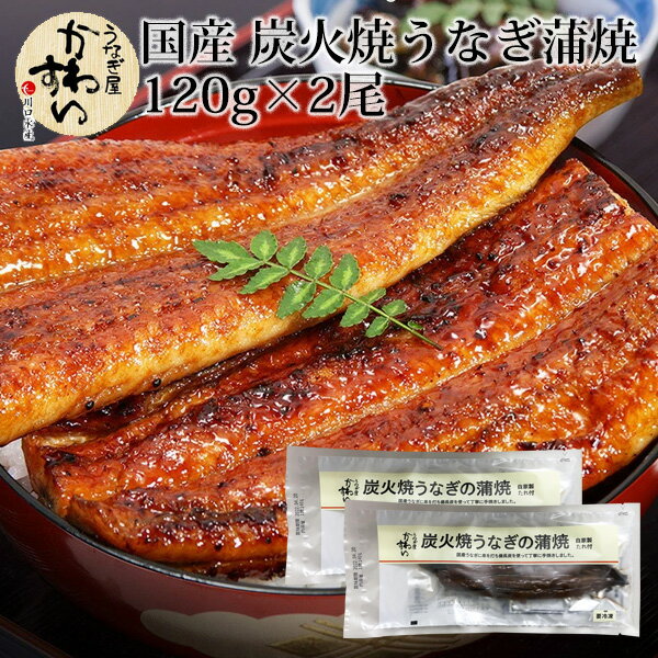 【送料無料】川口水産 国産 手焼き 炭火焼 うなぎ蒲焼 120g×2尾/国産 土用丑の日 ウナギ 炭火焼蒲焼 うなぎ屋 かわすい 川口水産　/ 父の日　父の日ギフト