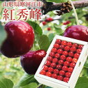 山形県寒河江市 紅秀峰 500g 秀品　500g　3L・2L 手詰め　化粧箱入り / サクランボ チェリー　JAさがえ西村山