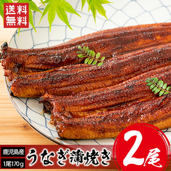 鹿児島産 うなぎ蒲焼 2尾 （1尾170g前