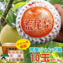 【数量・期間限定】荒尾ジャンボ梨 新高梨 10玉 (約7.5kg) <訳あり商品ではありません> 1個平均750g 送料無料 九州 熊本産 大玉 梨 荒尾梨 新新高 フルーツ 箱買い 10個入 10玉 秀品 (9月25日以降順次出荷) (北海道・沖縄別途送料)