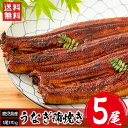 鹿児島産 うなぎ蒲焼 5尾 (1尾170g前後) 送料無料 無頭 国産 国内産 鹿児島県産 土用の丑 ウナギ うなぎ 蒲焼き 鹿児島鰻 内祝 お取り寄せ 冷凍 ...