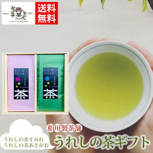 うれしのギフト 2種入(うれしの茶すみれ・うれしの茶あさがお) / 送料無料 お茶 日本製 煎茶 茶葉 ギフトセット 嬉野茶 相川製茶舗 送料無料(北海道・沖縄別途送料)