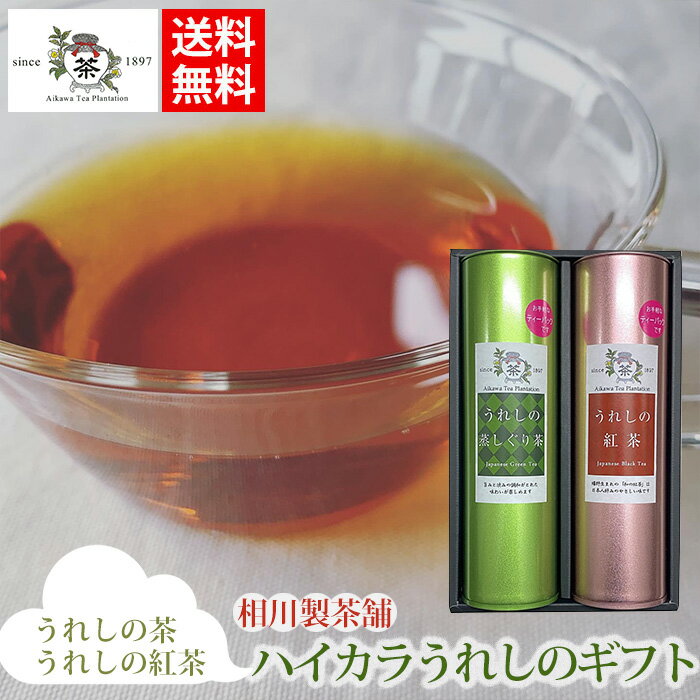 ハイカラうれしのギフト 2缶入（うれしの茶・うれしの紅茶） / 送料無料 お茶　紅茶　ティーパック　日本製　ギフトセット　お茶缶　嬉野茶　うれしの紅茶　嬉野紅茶　相川製茶舗 / 母の日 母の日ギフト Mother's day （北海道・沖縄別途送料）