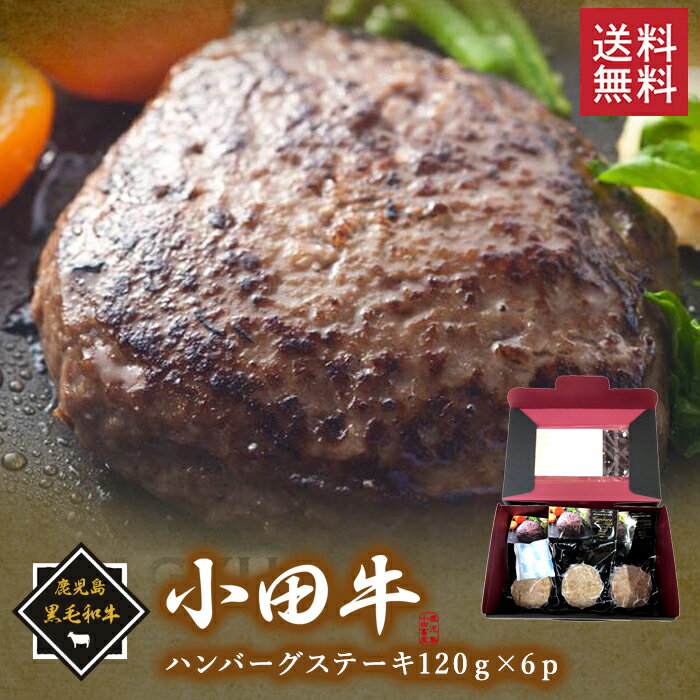 鹿児島黒毛和牛小田牛のハンバーグステーキ120g×6p/ 送料無料 黒毛和牛 小田牛 ハンバーグ 贈り物 パーティ お祝い 記念品 ギフト プレゼント お取り寄せグルメ （北海道・沖縄別途送料）