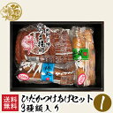 ひだかつけあげセット 1 / 送料無料 練り物 練製品 とうふ入りさつま揚げ いわし棒天 えそ棒天 鹿児島 串木野 お祝い 記念品 進物 土産 内祝 ギフト プレゼント つけ揚げ さつま揚げ さつまあげ 日高水産加工 （北海道・沖縄別途送料）