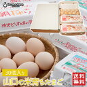 山口の米育ちたまご 30個 / 送料無料 30玉 30個 たまご 卵 生卵 新鮮卵 専用農場 農家直送 出雲ファーム (北海道・沖縄発送不可) (日本郵便にて発...