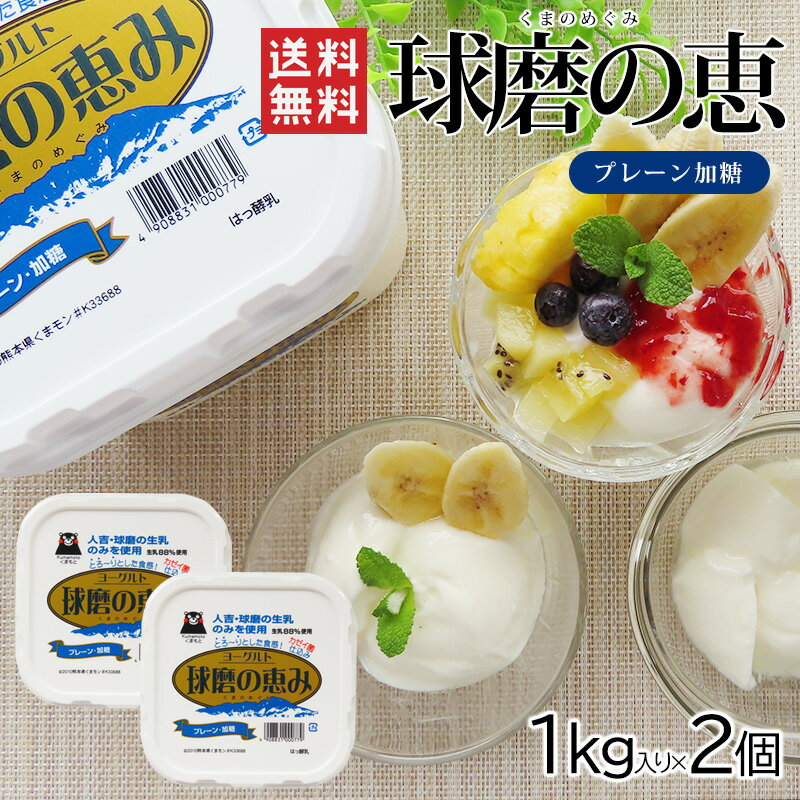 球磨の恵ヨーグルト（加糖）1000g×2個セット / 送料無料 球磨酪農 ヨーグルト 熊本 加糖 球磨の恵 くまもん 1kg 冷蔵 /（北海道・沖縄別途送料）のサムネイル