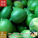 特選品 佐賀 唐津産 浜玉サマーレモン 2kg 18玉前後 (1玉あたり約110g) 送料無料 レモン グリーンレモン 檸檬 果物 フルーツ リスボン カラタチファーム シトラスプラス 防腐剤・防かび剤不使用 ノーワックス (北海道・沖縄別途送料)
