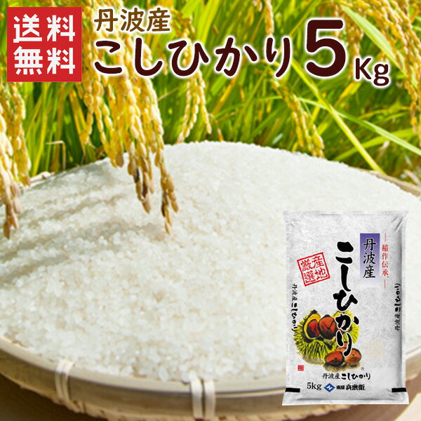 令和5年 丹波産（兵庫県）コシヒカリ5kg（5kg×1袋）/ 送料無料 令和5年産 ...