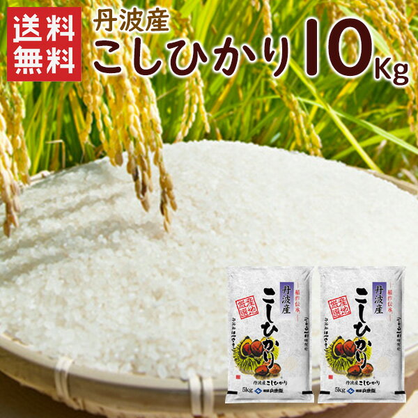 令和5年 丹波産（兵庫県）コシヒカリ10kg（5kg×2袋）/ 送料無料 令和5年産 こしひかり コシヒカリ 精米 お米 米 丹波産 兵庫県産 5kg（北海道・沖縄別途送料）（配達日・時間指定は不可となります。）