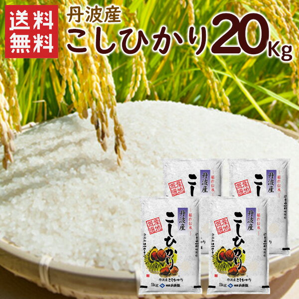 令和5年 丹波産（兵庫県）コシヒカリ20kg（5kg×4袋）/ 送料無料 令和5年産...