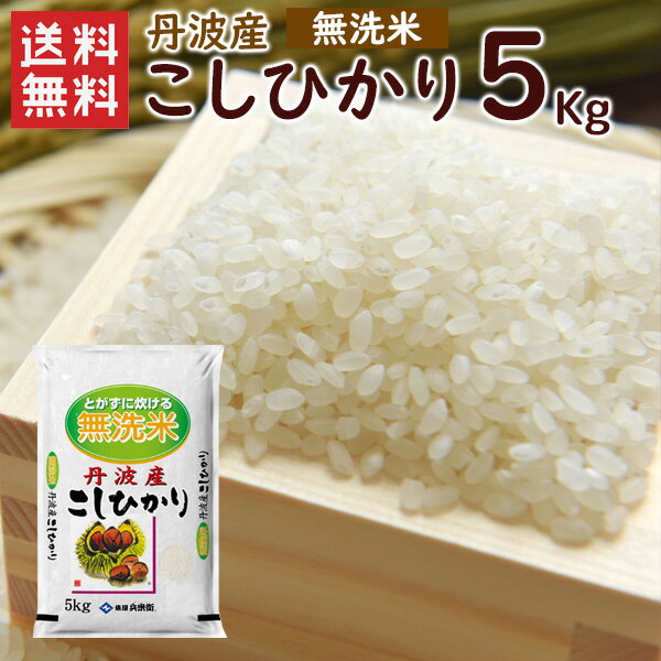 【送料無料】無洗米 丹波産（兵庫県）コシヒカリ5kg（5kg×1袋）/ 令和4年産 ...