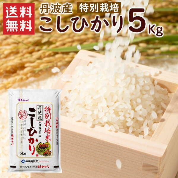 【送料無料】特別栽培 丹波産（兵庫県）コシヒカリ5kg（5kg×1袋）/ 令和4年産...