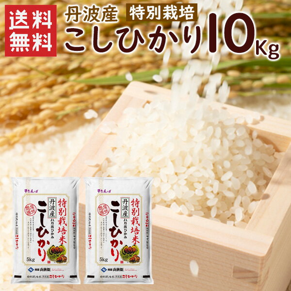 【送料無料】特別栽培 丹波産（兵庫県）コシヒカリ10kg（5kg×2袋）/ 令和4年産 特別栽培 こしひかり コシヒカリ 精米 お米 米 丹波産 兵庫県産 10kg（北海道・沖縄別途送料）