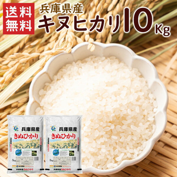 【送料無料】兵庫県産キヌヒカリ10kg（5kg×2袋）/ 令和4年産 キヌヒカリ 精米 お米 米 兵庫県産 5kg（北海道・沖縄別途送料）