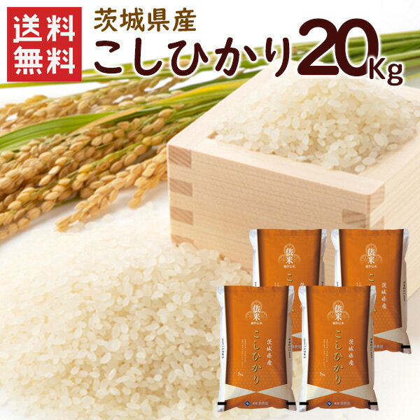 【送料無料】茨城県産 コシヒカリ 20kg（5kg×4袋）/ 令和4年産 こしひかり コシヒカリ 精米 お米 米 茨城県産 20kg（北海道・沖縄別途送料）