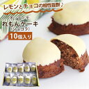 オッティモ 宮崎 れもんケーキ ショコラ BOX 10個入 レモンケーキ チョコレート ココア お取り寄せ 有名店 名産品 個包装 宮崎 あんでる船 お取り寄せ...