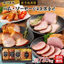 鹿児島黒豚 ハム・ソーセージ4点詰合せ / 送料無料 炭焼き焼豚 モモハム モモハムパストラミ 荒挽きウィンナー 南州農場 ギフト プレゼント お取り寄せグルメ(北海道・沖縄別途送料)