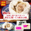 【クーポンで77円OFF】揚子江 お試し食べ比べセット (豚まん2個入り×1/ミニ豚まん6個入り×1) 送料無料 豚まん 小倉 揚子江 揚子江豚まん 揚子江の豚まん ぶたまん 肉まん 中華まん 冷凍 北九州 お試しセット (北海道・沖縄別途送料)