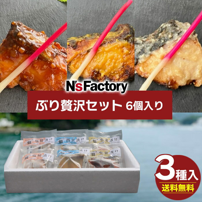 N'sファクトリー ぶり贅沢セット 6個 セット 送料無料 西京漬け 生姜漬け 塩こうじ漬け レンジ調理 簡単調理 焼き魚 真空冷凍 高知県産 贈り物 贈答 ギフト プレゼント 御祝 内祝 (北海道・沖縄別途送料)