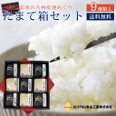 O-ETSU お米の九州産地めぐりたまて箱セット (9個入) 送料無料 さがびより にこまる 元気つくし くまさんの輝き くまさんのちから 夢つくし ひとめぼれ あきほなみ ひのひかり 300g(約2合) 9種類入り ギフトセット 御礼 内祝 お返し (北海道・沖縄別途送料)