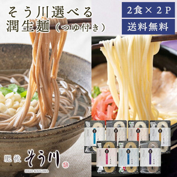 そう川選べる潤生麺(つゆ付き)2個セット 送料無料 肥後そう川 そうめん にゅうめん ラーメン うどん そば 麺 乾麺 つゆ付 熊本県産小麦粉100% 麺類 お取り寄せグルメ ご自宅用 常温保存 賞味期限90日 (クリックポスト配送) (配送日時指定不可) (ポスト投函)
