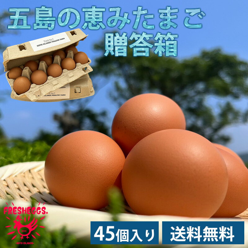 五島の恵みたまご　贈答箱（45個入）送料無料 45個入り たまご 卵 生卵 新鮮卵 純国産鶏 専用農場 農家..