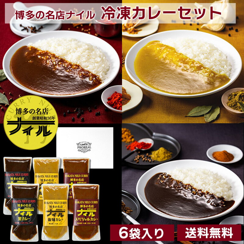 博多の名店ナイル　冷凍カレー6袋セット 送料無料 冷凍カレー お店の味 ナイルカレー 復刻カレー スペシャルカレー 黒カレー 中辛 お取り寄せグルメ 福岡 名店の味（北海道・沖縄別途送料）