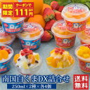 【クーポンで111円OFF】セイカ食品 南国白くまDX詰合せ (SDX-38) 送料無料 鹿児島 白熊 しろくま アイス 250ml 8個 氷菓子 かき氷 カッ...
