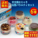 【クーポンで111円OFF】天文館むじゃき白熊バラエティセット 送料無料 天文館 むじゃき 白熊 本家 ベビー 白熊 鹿児島 氷菓子 しろくま アイス かき氷 ...