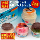 【クーポンで111円OFF】天文館むじゃき 白熊セレクトセット 送料無料 天文館 むじゃき 白熊 本家 ベビー 白熊 鹿児島 しろくま アイス 氷菓子 かき氷 ...
