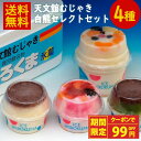 【クーポンで99円OFF】天文館むじゃき 白熊セレクトセット 送料無料 天文館 むじゃき 白熊 本家 ベビー 白熊 鹿児島 しろくま アイス 氷菓子 かき氷 カ...