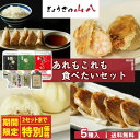 【お一人様2点限り!マラソン限定価格】ぎょうざの山八 あれもこれも食べたいセット 送料無料 ハローデイ限定セット 点心 餃子 焼き餃子 山八餃子 黒豚餃子 肉ま...