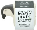 聖新陶芸 モノクロアニマル ペンギン カモミール GD-100704 景品 プレゼント 栽培セットギフト インスタ映え