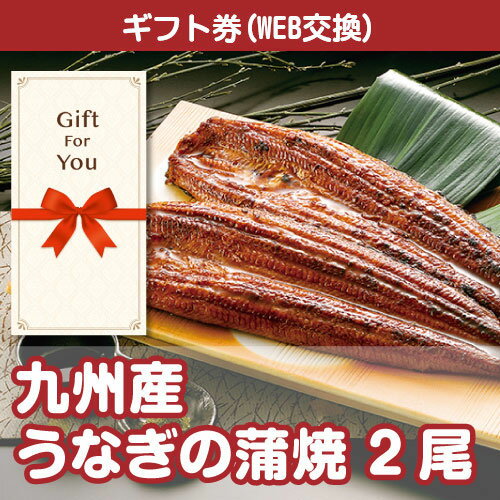 送料無料【メール便対応10個まで】【ギフト券】 九州産うなぎの蒲焼 se-206-gf 誕生日 母の日 父の日 返礼品 御礼 御祝 贈答品 お中元 お歳暮