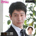 【送料無料 】 メンズも使えるウィッグ メンズウィッグ プリシラ 男性用かつら ミニマムショート A-111 グレーカラー グレイカラー グレイヘア 白髪展開あり(4)