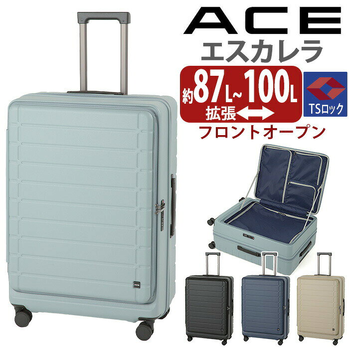 ＼20％OFF＆P10倍／ACEエ...