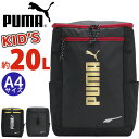 プーマ リュック キッズ PUMA 男の子 20L リュックサック キッズバッグ ジュニアリュック ボックスリュック スクエア ジュニア 女の子 人気 通学 小...