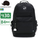 スカンジナビアンフォレスト リュックサック SCANDINAVIAN FOREST 大容量 30L 撥水 A4 B4 PCポケット タブレット リュック バックパック かばん シンプル 通学 通勤 人気 アクティブ デイパック 251-AFSF223