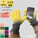 手袋 レディース スマホ対応 ニット 指あき 秋冬 軽量 大人 上品 通勤 通学 旅行 大学生 自転車 バイク ハンドウォーマー シンプル カジュアル おしゃれ キレイめ かわいい あったか ポカポカ レトロ グラデーション 20代 30代 40代 50代 送料無料