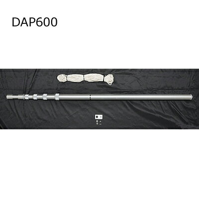 第一電波工業(DIAMOND) DAP600(DAP-600)