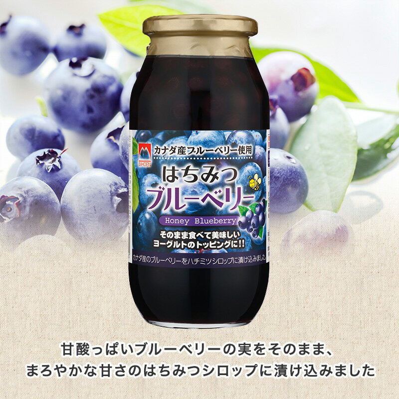 カナダ産ブルーベリー使用 はちみつブルーベリー　650グラム6本入りフルーツソース ブルーベリー フルーツシロップ