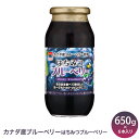 カナダ産ブルーベリー使用 はちみつブルーベリー 650グラム6本入りフルーツソース ブルーベリー フルーツシロップ