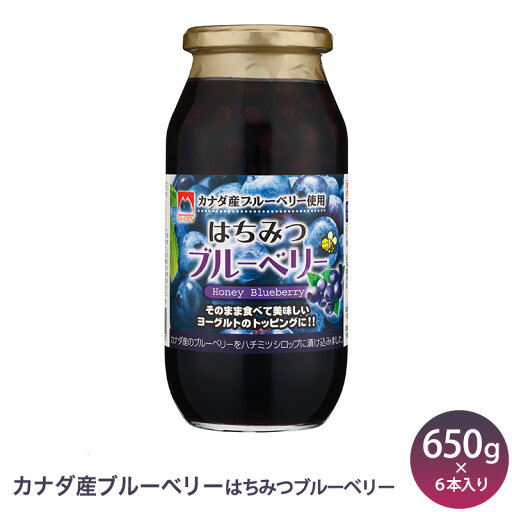 カナダ産ブルーベリー使用 はちみつブルーベリー 650グラム6本入りフルーツソース ブルーベリー フルーツシロップ カナダ産ブルーベリー使用 はちみつブルーベリー 650グラム6本入りフルーツソース ブルーベリー フルーツシロップ