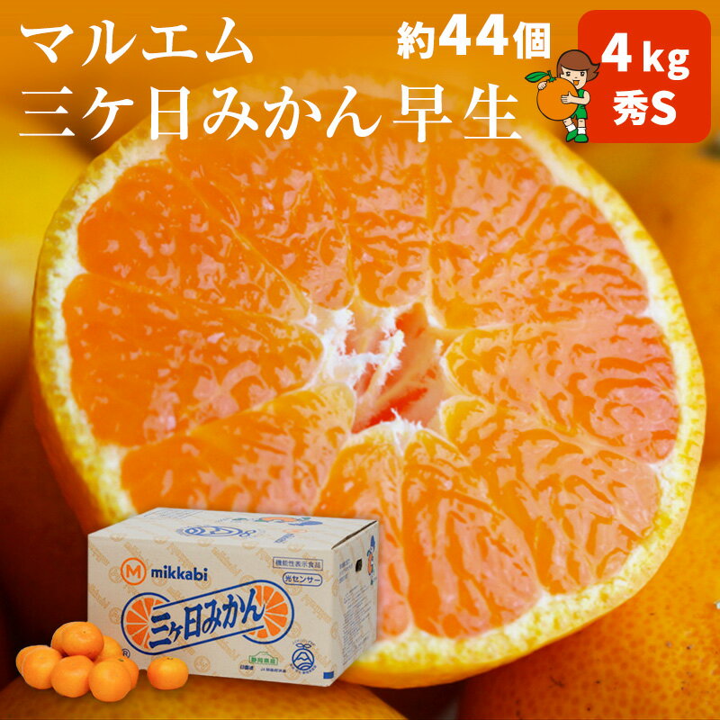 早生三ヶ日みかん 秀S 4kg 約44個送料無料 三ヶ日 みかんお歳暮に！三ケ日みかん 早生みかん JA三ケ日みかんみかん ミカン 蜜柑 お歳暮 ギフト 送料無料 甘い 直売 糖度 お取り寄せ mikann 静岡 産地