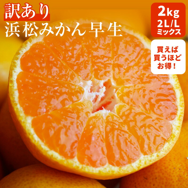 【11月中旬より入荷次第発送】訳あり 三ヶ日 浜松みかん 2L L ミックス 2kg2箱購入で送料無料 三ヶ日 みかん三ケ日みかん 【3箱購入で1箱おまけ付き】...